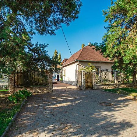 Lizak Apartman Beregszász Kültér fotó