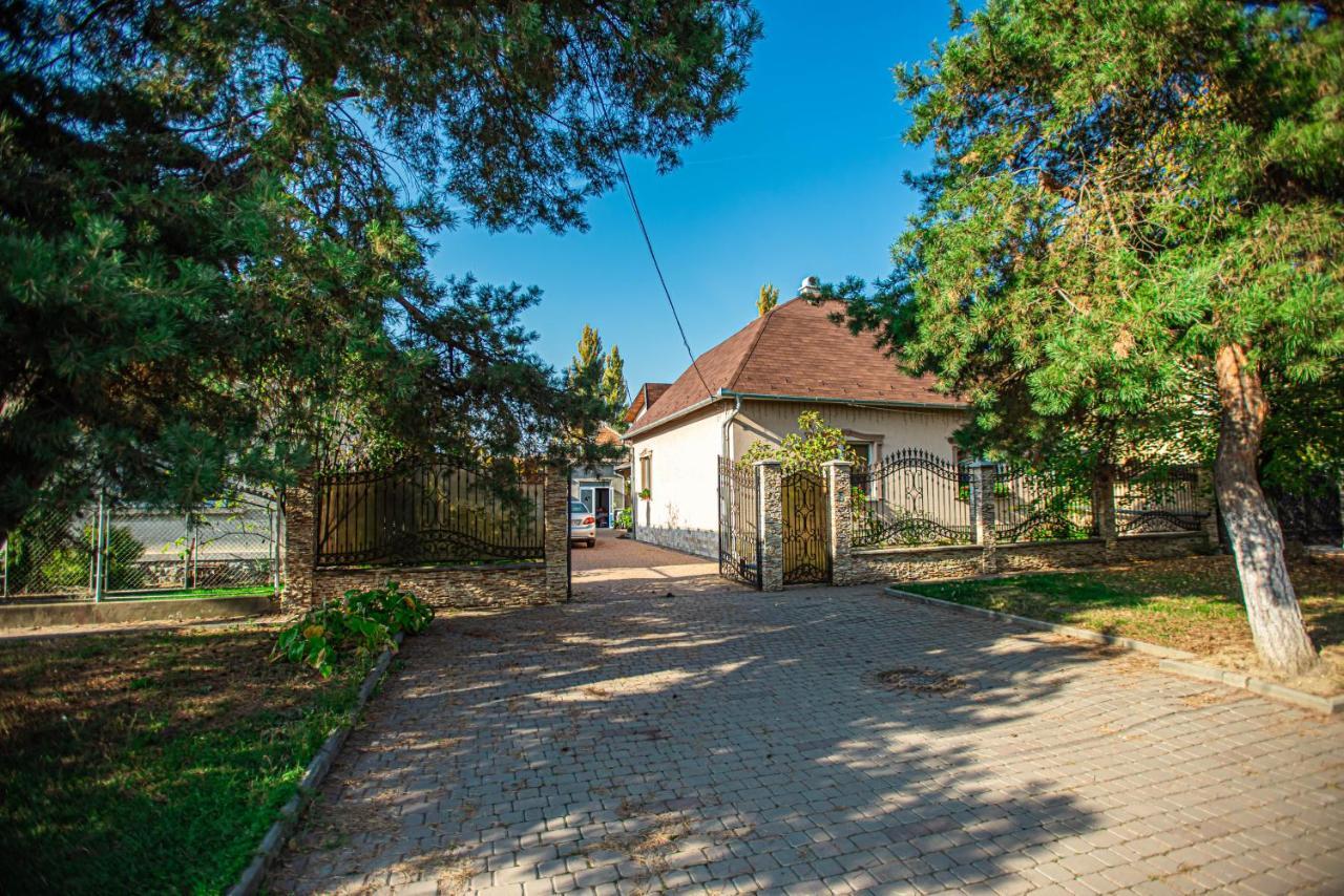 Lizak Apartman Beregszász Kültér fotó