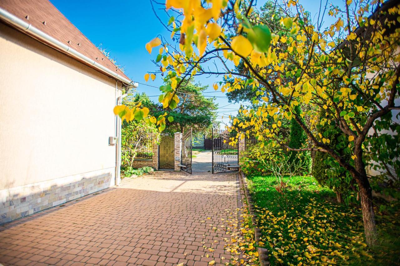 Lizak Apartman Beregszász Kültér fotó