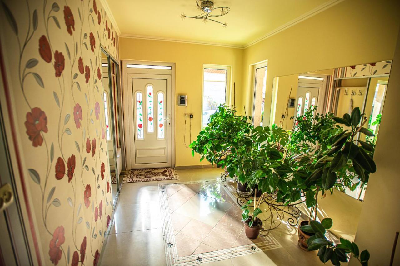 Lizak Apartman Beregszász Kültér fotó