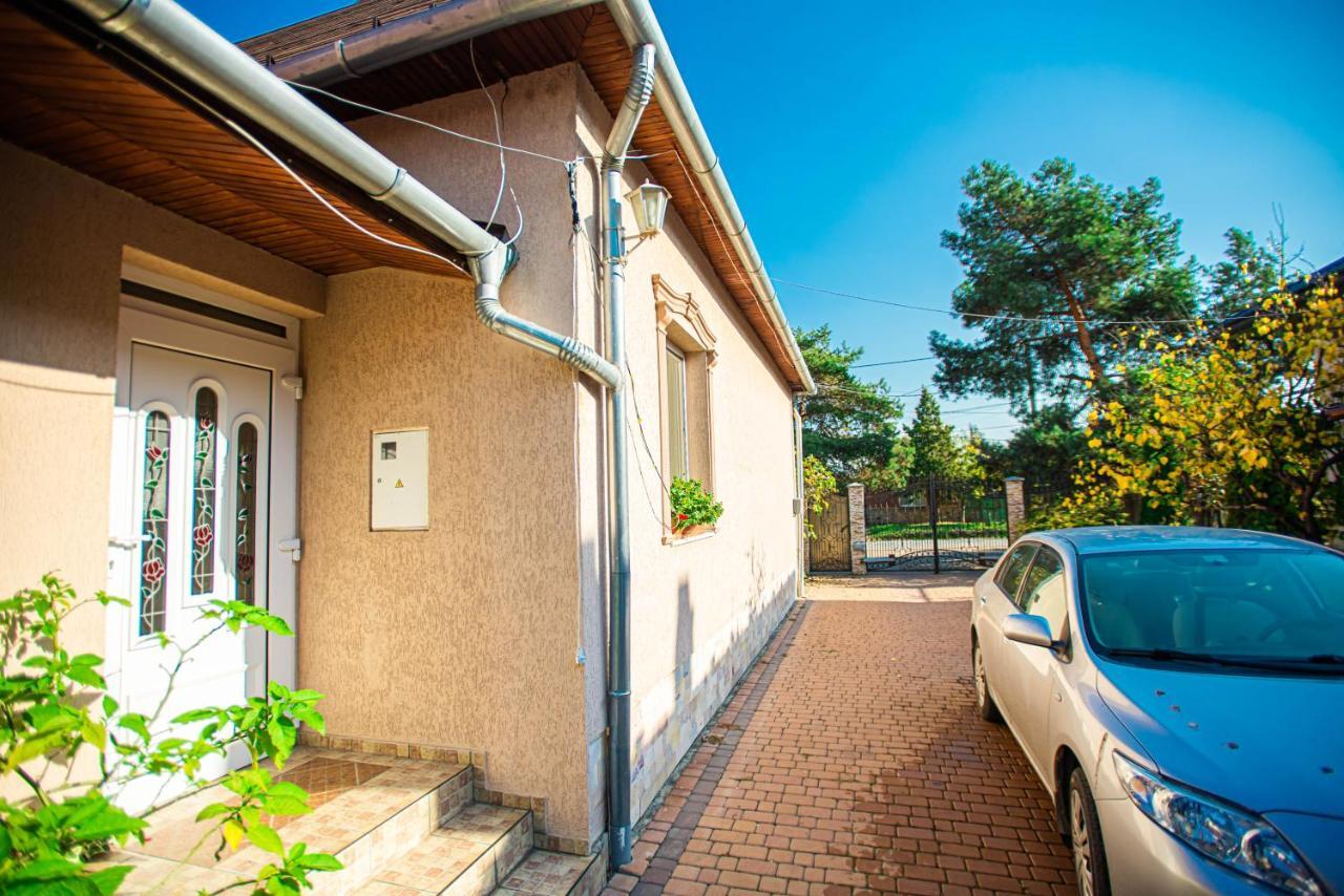 Lizak Apartman Beregszász Kültér fotó