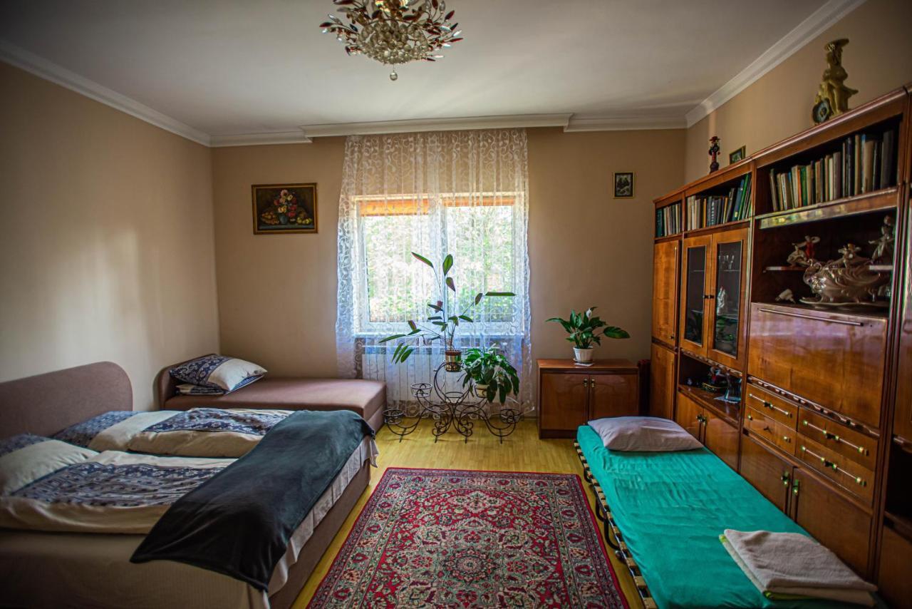 Lizak Apartman Beregszász Kültér fotó